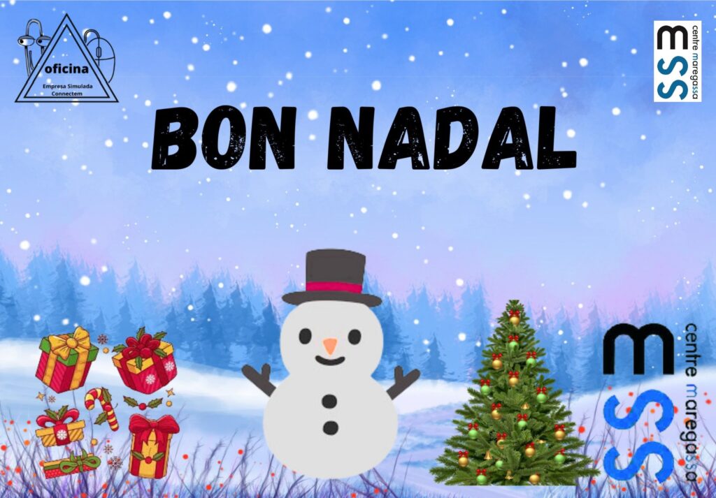 Postal Nadal IMSP 2025 (5)